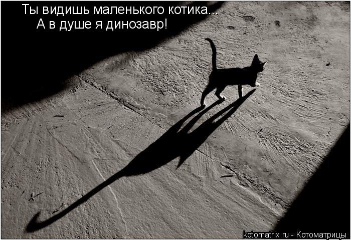 Котоматрица: Ты видишь маленького котика... А в душе я динозавр!