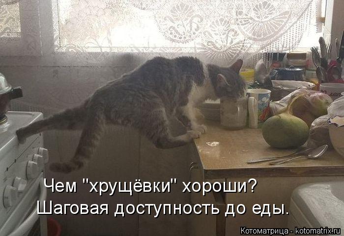 Котоматрица: Шаговая доступность до еды. Чем "хрущёвки" хороши?