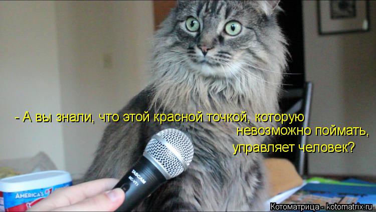 Котоматрица: - А вы знали, что этой красной точкой, которую   невозможно поймать, управляет человек?