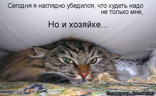 Котоматрица: Сегодня я наглядно убедился, что худеть надо не только мне, Но и хозяйке...
