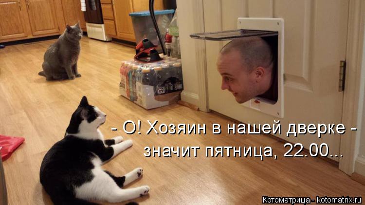 Котоматрица: - О! Хозяин в нашей дверке -  значит пятница, 22.00...