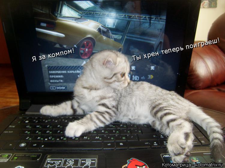 Котоматрица: Ты хрен теперь поиграеш! Я за компом!