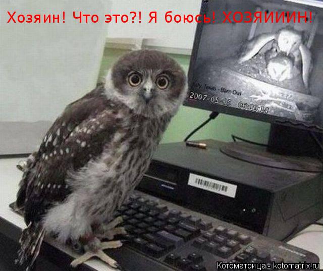 Котоматрица: Хозяин! Что это?! Я боюсь! ХОЗЯИИИН!