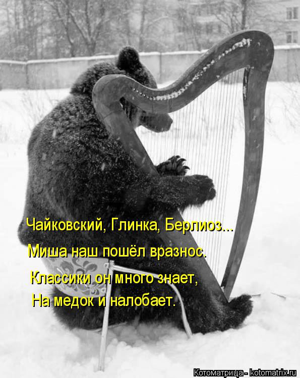 Котоматрица: Чайковский, Глинка, Берлиоз...  Миша наш пошёл вразнос.  Классики он много знает, На медок и налобает.
