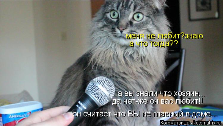 Котоматрица: а вы знали что хозяин... меня не любит?знаю да нет-же он вас любит!! а что тогда?? он считает что ВЫ не главный в доме.