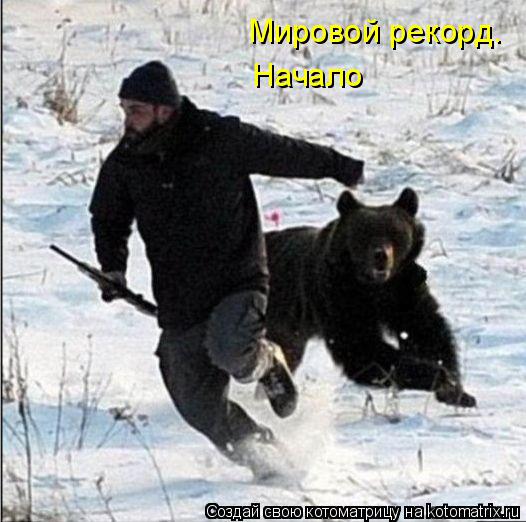 Котоматрица: Мировой рекорд. Начало