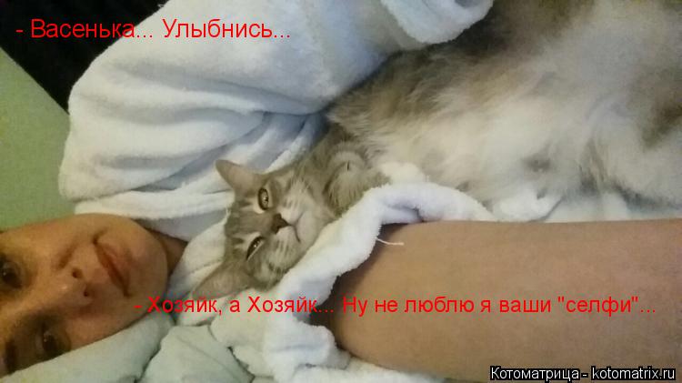 Котоматрица: - Васенька... Улыбнись... - Хозяйк, а Хозяйк... Ну не люблю я ваши "селфи"...