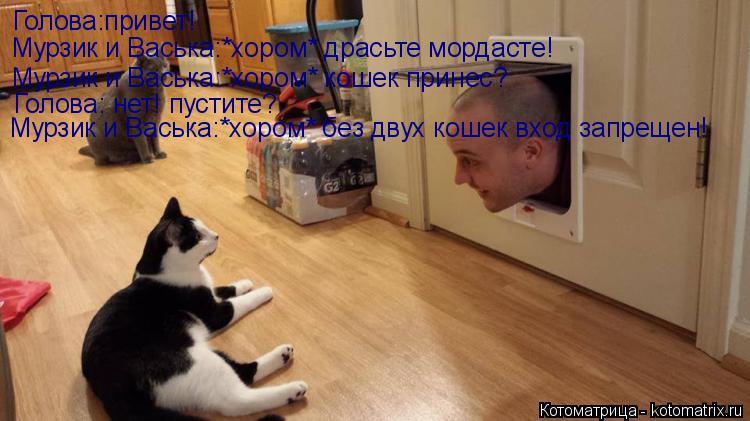Котоматрица: Голова:привет! Мурзик и Васька:*хором* драсьте мордасте! Мурзик и Васька:*хором* кошек принес? Голова: нет! пустите? Мурзик и Васька:*хором* без