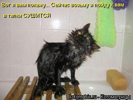 Котоматрица: Вот я вам покажу... Сейчас возьму и пойду к вам  в тапки СУШИТСЯ