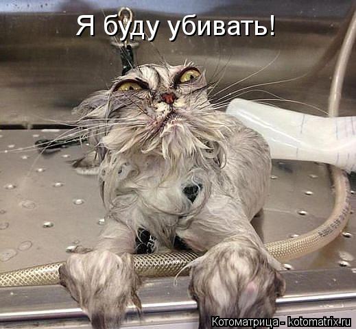 Котоматрица: Я буду убивать!
