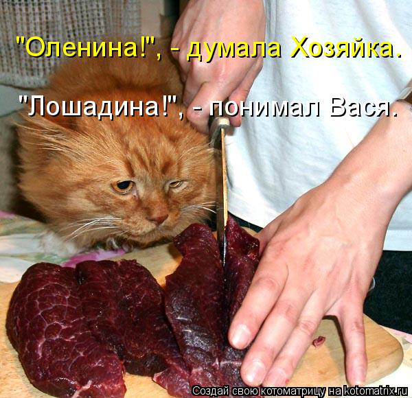 Котоматрица: "Оленина!", - думала Хозяйка. "Лошадина!", - понимал Вася.
