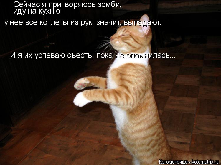 Котоматрица: Сейчас я притворяюсь зомби,  иду на кухню, у неё все котлеты из рук, значит, выпадают. И я их успеваю съесть, пока не опомнилась...
