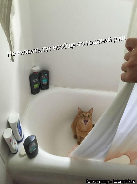 Котоматрица: Не входить,тут вообще-то кошачий душ