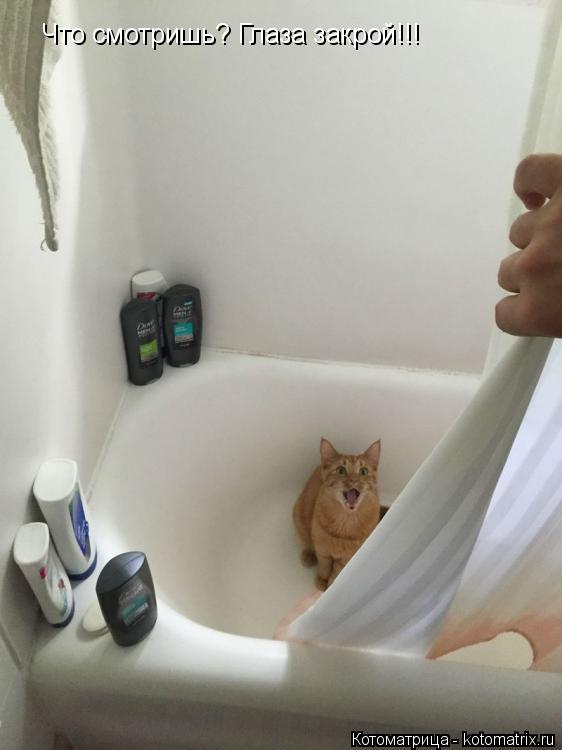 Котоматрица: Что смотришь? Глаза закрой!!!