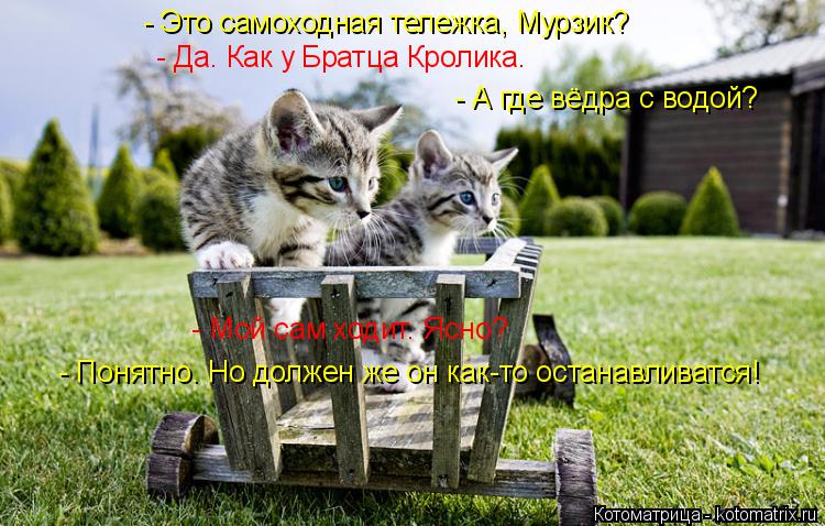 Котоматрица: - Это самоходная тележка, Мурзик?  - Да. Как у Братца Кролика.  - А где вёдра с водой?  - Мой сам ходит. Ясно?  - Понятно. Но должен же он как-то остан