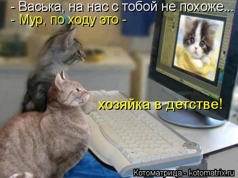 Котоматрица: - Васька, на нас с тобой не похоже... - Мур, по ходу это -  хозяйка в детстве!