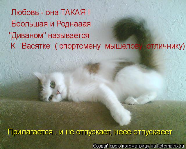 Котоматрица: Любовь - она ТАКАЯ ! Боольшая и Роднааая "Диваном" называется К   Васятке  ( спортсмену  мышелову  отличнику) Прилагается . и не отпускает, неее 