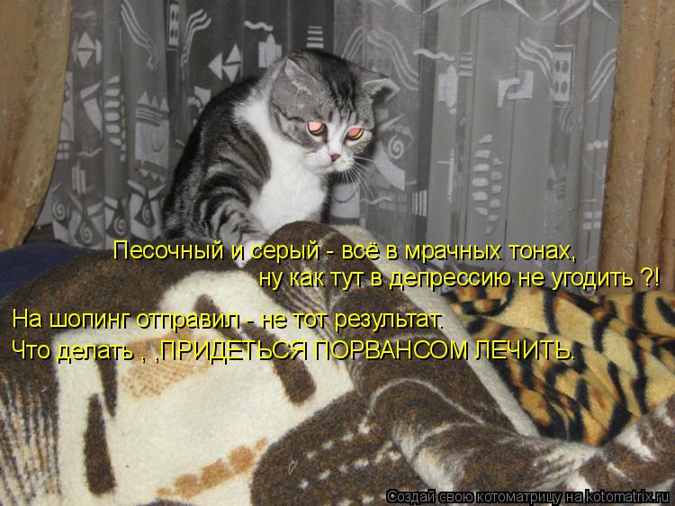 Котоматрица: Песочный и серый - всё в мрачных тонах, ну как тут в депрессию не угодить ?! На шопинг отправил - не тот результат. Что делать , ,ПРИДЕТЬСЯ ПОРВА