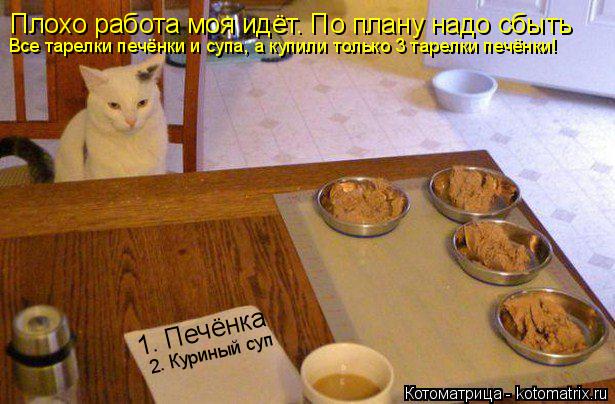 Котоматрица: 1. Печёнка 2. Куриный суп Плохо работа моя идёт. По плану надо сбыть Все тарелки печёнки и супа, а купили только 3 тарелки печёнки!