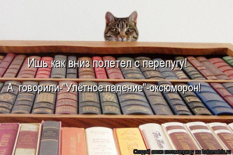 Ишь как вниз полетел с перепугу! А говорили-"Улётное падение"-оксюморон!... Котоматрица: Ишь как вниз полетел с перепугу! А говорили-"Улётное падение"-оксюморон!