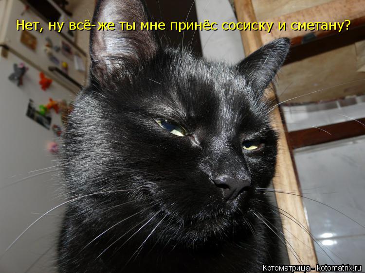 Нет, ну всё-же ты мне принёс сосиску и сметану?... Котоматрица: Нет, ну всё-же ты мне принёс сосиску и сметану?