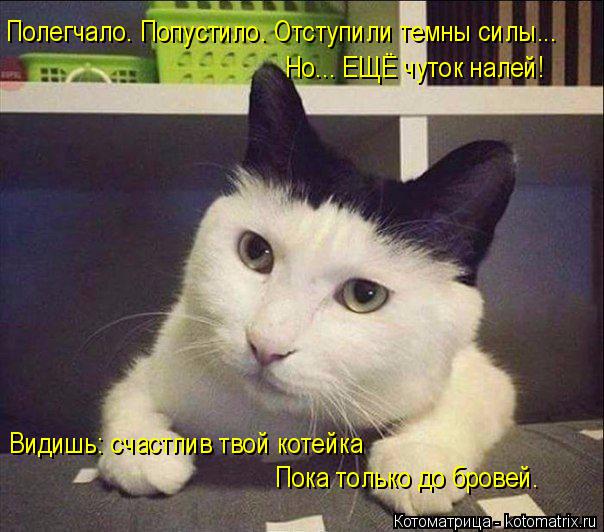 Полегчало. Попустило. Отступили темны силы... Но... ЕЩЁ чуток налей! Видишь: счастлив твой котейка По... Котоматрица: Полегчало. Попустило. Отступили темны силы... Но... ЕЩЁ чуток налей! Видишь: счастлив твой котейка Пока только до бровей.
