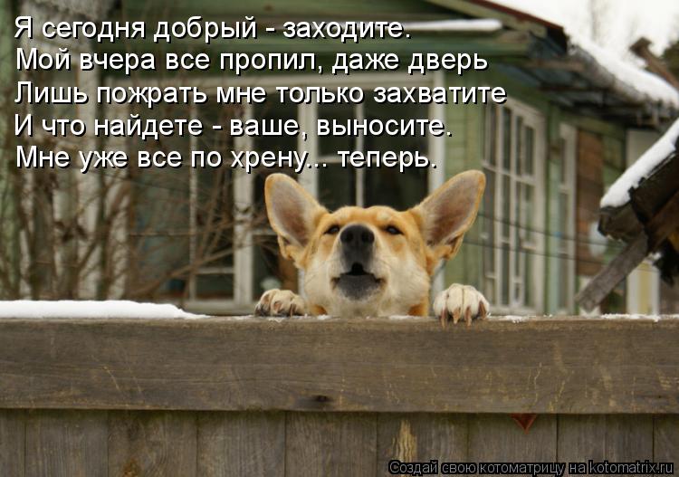 Я сегодня добрый - заходите. Мой вчера все пропил, даже дверь Лишь пожрать мне только захватите И что... Котоматрица: Я сегодня добрый - заходите. Мой вчера все пропил, даже дверь Лишь пожрать мне только захватите И что найдете - ваше, выносите. Мне уже все по