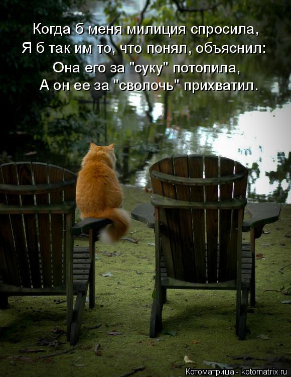 Она его за "суку" потопила, А он ее за "сволочь" прихватил. Когда б меня милиция спросила, Я б так им... Котоматрица: Она его за "суку" потопила, А он ее за "сволочь" прихватил. Когда б меня милиция спросила, Я б так им то, что понял, объяснил:
