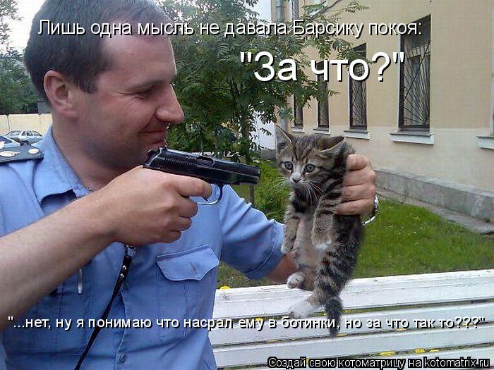 Котоматрица: Лишь одна мысль не давала Барсику покоя: "За что?" "...нет, ну я понимаю что насрал ему в ботинки, но за что так то???"