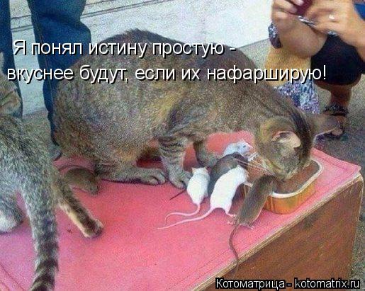 Я понял истину простую - вкуснее будут, если их нафарширую!... Котоматрица: Я понял истину простую - вкуснее будут, если их нафарширую!