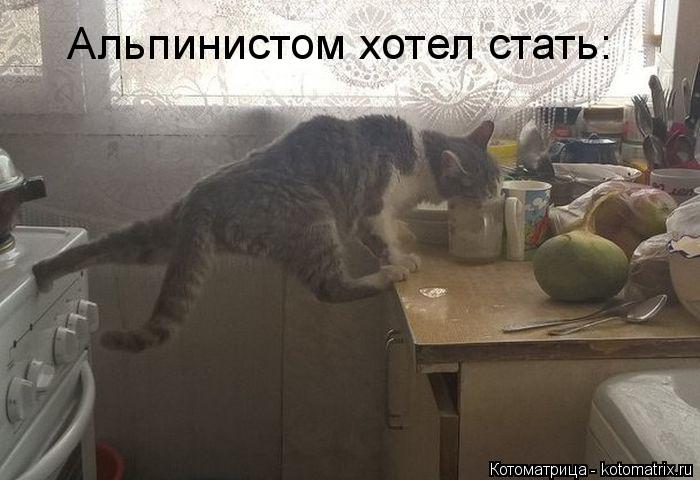 Альпинистом хотел стать: Альпинистом хотел стать:... Котоматрица: Альпинистом хотел стать: Альпинистом хотел стать: