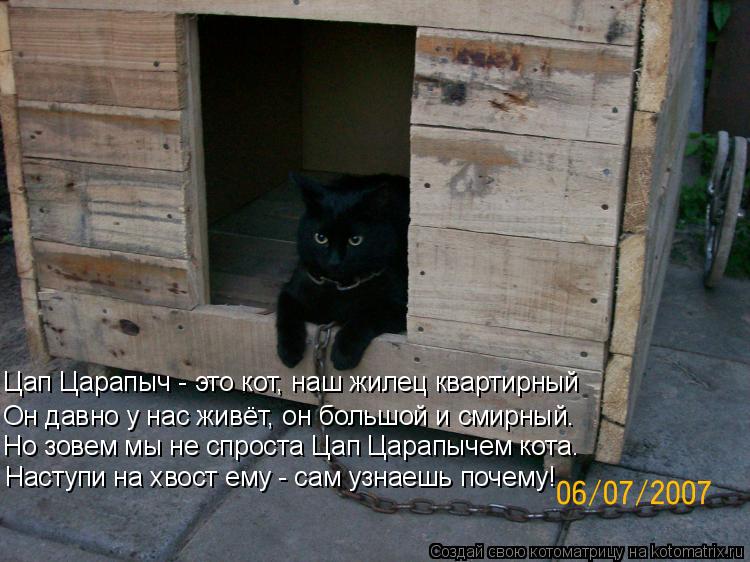 Котоматрица: Цап Царапыч - это кот, наш жилец квартирный Он давно у нас живёт, он большой и смирный. Но зовем мы не спроста Цап Царапычем кота. Наступи на х