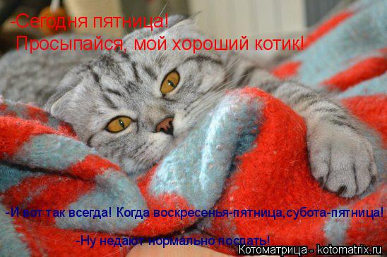 -Сегодня пятница! -Сегодня пятница! Просыпайся, мой хороший котик! -И вот так всегда! Когда воскресен... Котоматрица: -Сегодня пятница! -Сегодня пятница! Просыпайся, мой хороший котик! -И вот так всегда! Когда воскресенья-пятница,субота-пятница! -Ну недают нор
