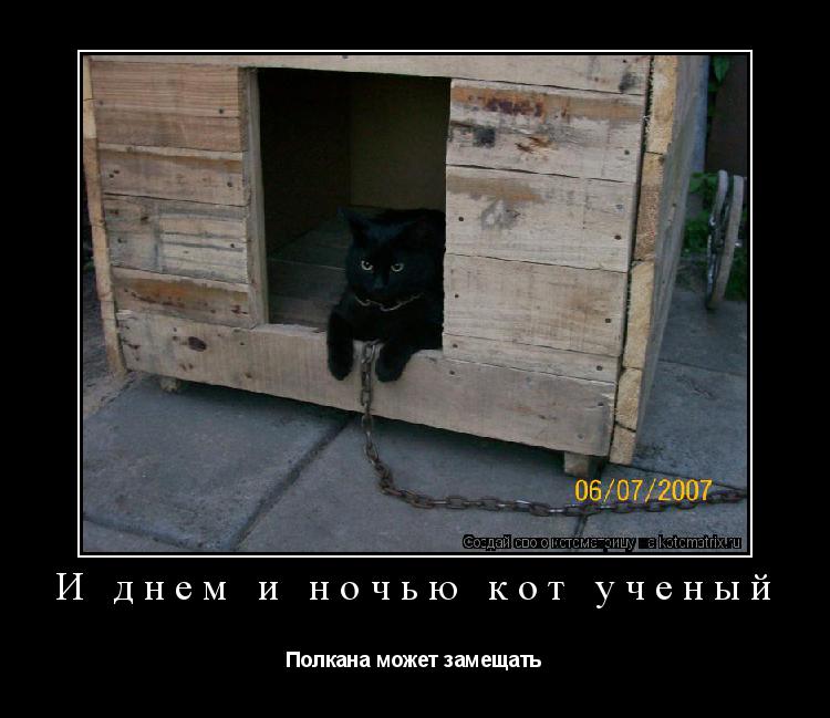 И днем и ночью кот ученый Полкана может замещать... Котоматрица: И днем и ночью кот ученый Полкана может замещать