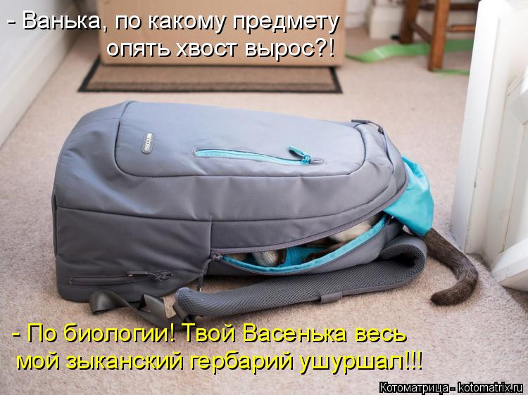 Котоматрица: - Ванька, по какому предмету опять хвост вырос?! - По биологии! Твой Васенька весь мой зыканский гербарий ушуршал!!!