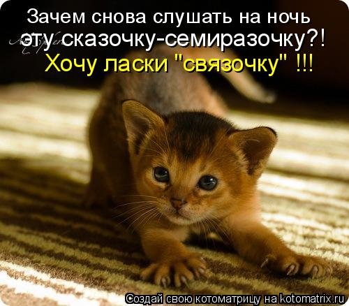Котоматрица: Зачем снова слушать на ночь  эту сказочку-семиразочку?!  Хочу ласки "связочку" !!!
