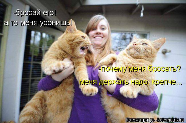 -бросай его! а то меня уронишь! -почему меня бросать? меня держать надо, крепче...... Котоматрица: -бросай его! а то меня уронишь! -почему меня бросать? меня держать надо, крепче...