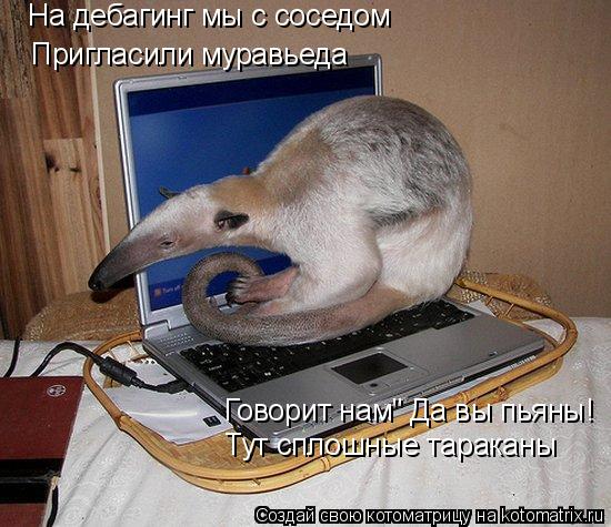 Пригласили муравьеда На дебагинг мы с соседом Говорит нам" Да вы пьяны! Тут сплошные тараканы... Котоматрица: Пригласили муравьеда На дебагинг мы с соседом Говорит нам" Да вы пьяны! Тут сплошные тараканы