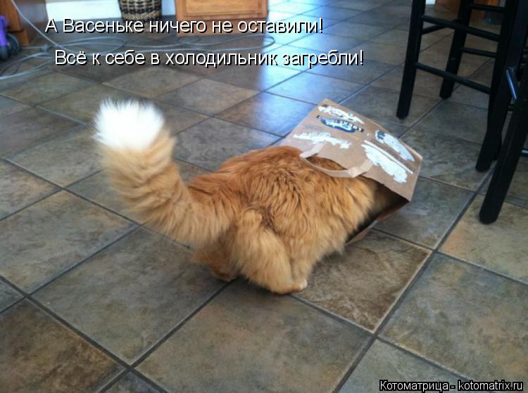 А Васеньке ничего не оставили! Всё к себе в холодильник загребли!... Котоматрица: А Васеньке ничего не оставили! Всё к себе в холодильник загребли!