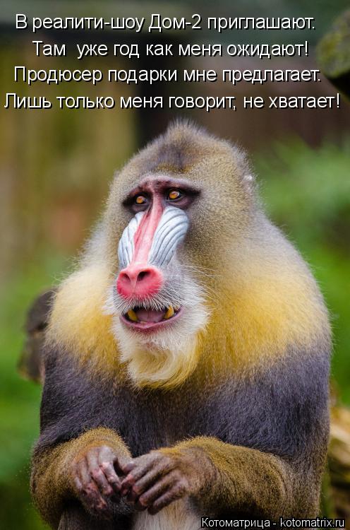 Там уже год как меня ожидают! В реалити-шоу Дом-2 приглашают. Продюсер подарки мне предлагает. Лишь ... Котоматрица: Там уже год как меня ожидают! В реалити-шоу Дом-2 приглашают. Продюсер подарки мне предлагает. Лишь только меня говорит, не хватает!