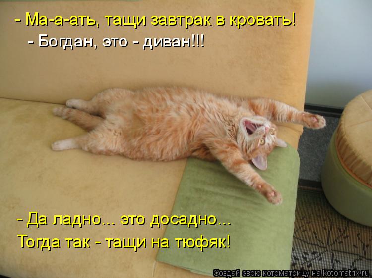 - Ма-а-ать, тащи завтрак в кровать! - Богдан, это - диван!!! - Да ладно... это досадно... Тогда так -... Котоматрица: - Ма-а-ать, тащи завтрак в кровать! - Богдан, это - диван!!! - Да ладно... это досадно... Тогда так - тащи на тюфяк!