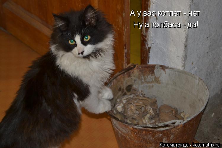 А у вас котлет - нет Ну а колбаса - да!... Котоматрица: А у вас котлет - нет Ну а колбаса - да!