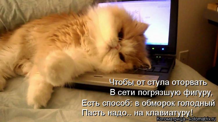 Чтобы от стула оторвать В сети погрязшую фигуру, Есть способ: в обморок голодный Пасть надо.. на кл... Котоматрица: Чтобы от стула оторвать В сети погрязшую фигуру, Есть способ: в обморок голодный Пасть надо.. на клавиатуру!