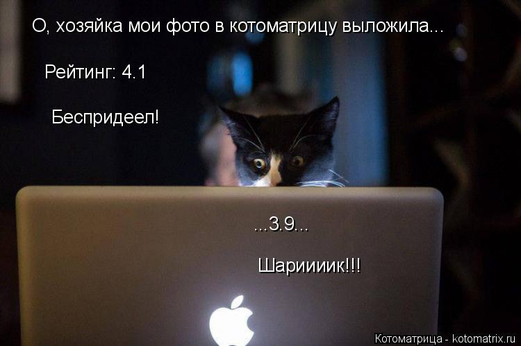 Котоматрица: О, хозяйка мои фото в котоматрицу выложила... Рейтинг: 4.1 Беспридеел! ...3.9... Шариииик!!!