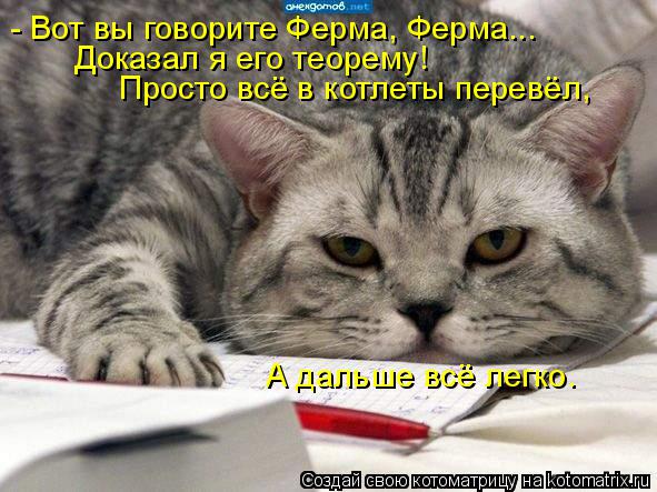Котоматрица: - Вот вы говорите Ферма, Ферма... Доказал я его теорему! Просто всё в котлеты перевёл, А дальше всё легко.