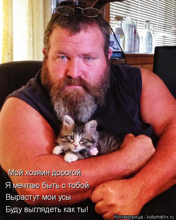 Мой хозяин дорогой Я мечтаю быть с тобой Вырастут мои усы Буду выглядеть как ты!... Котоматрица: Мой хозяин дорогой Я мечтаю быть с тобой Вырастут мои усы Буду выглядеть как ты!