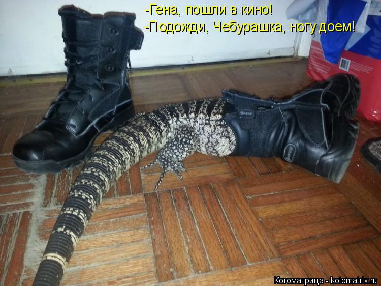 -Гена, пошли в кино! -Подожди, Чебурашка, ногу доем!... Котоматрица: -Гена, пошли в кино! -Подожди, Чебурашка, ногу доем!