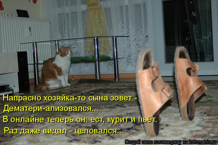 Напрасно хозяйка-то сына зовет - В онлайне теперь он: ест, курит и пьёт. Раз даже видал - целовался..... Котоматрица: Напрасно хозяйка-то сына зовет - В онлайне теперь он: ест, курит и пьёт. Раз даже видал - целовался... Дематери-ализовался...