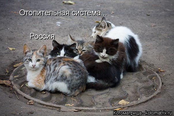 Котоматрица: Отопительная система... Россия