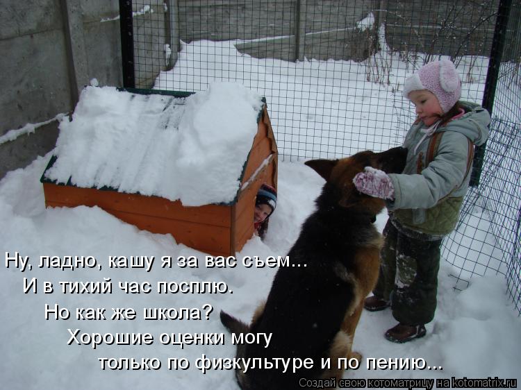 Котоматрица: Ну, ладно, кашу я за вас съем... И в тихий час посплю. Но как же школа? Хорошие оценки могу  только по физкультуре и по пению...